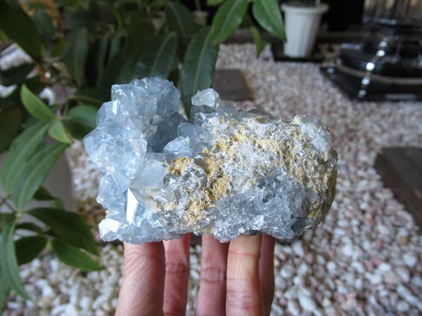 Amazon.co.jp: セレスタイト 原石 クラスター 販売 | 天然石専門店【鬮